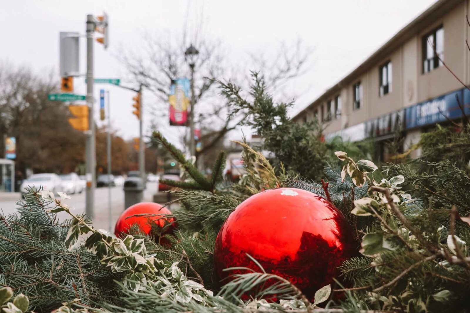 Things to do in Oakville for the holidays in 2021 christmas tree with decoraions